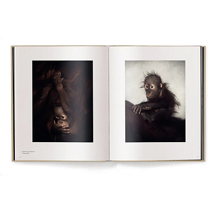 Книга на английском языке "Between Us. Animal Portraits" HB, Vincent Lagrange - 2