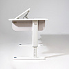 Комплект Ergosmart ученический Caravel: стол регулируемый Caravel, полка с подставкой для книг Wooden space - 16
