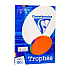 Бумага цветная "Trophée", А4, 100 листов, 80 г/м2, ассорти яркий