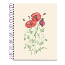 Тетрадь "Entredos Papaver Rhoeda"