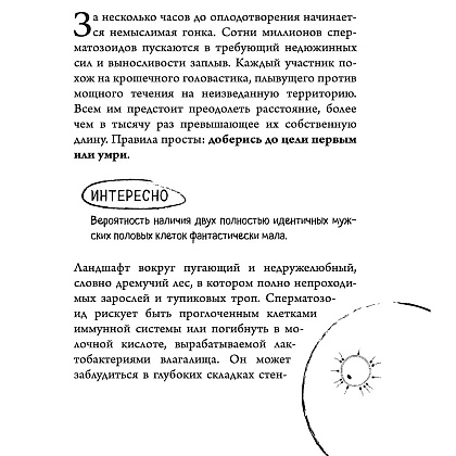  Книга "280 дней до вашего рождения. Репортаж о том, что вы забыли, находясь в эпицентре событий", Вестре К. - 8