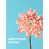 Средство чистящее для туалетных и ванных комнат "Dutybox", экологичное, с триггером, 500 мл - 3