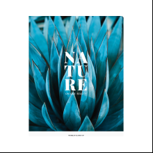 Тетрадь "Nature", А4, 48 листов, клетка, ассорти
