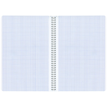 Тетрадь "Гранаты", А4, 96 листов, в клетку, ассорти - 5