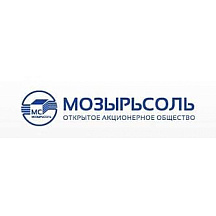 Мозырьсоль