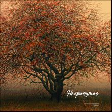Рюкзак "Дичка", Валерий Шкарубо, разноцветный