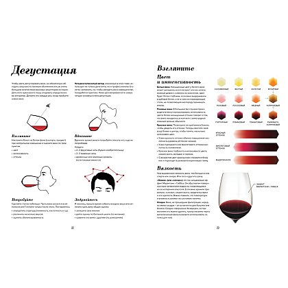 Книга "Wine Folly. Издание Магнум, детализированное", Мадлен Пакетт, Джастин Хэммек - 4
