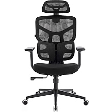 Кресло эргономичное EVERPROF Omega, Black, сетка, черный, металл, корпус черный