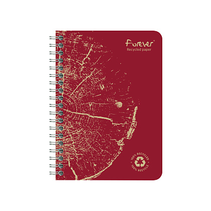 Блокнот Clairefontaine "Forever Premium", А6, 60 листов, клетка, ассорти - 3