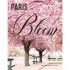 Книга на английском языке "Paris in Bloom", Lane G.