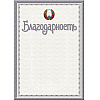 Грамота С25, А4, 250 г/м2 - 11