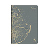 Блокнот Clairefontaine "Forever Premium", А4, 48 листов, клетка, ассорти - 2