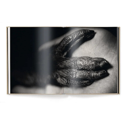 Книга на английском языке "Between Us. Animal Portraits" HB, Vincent Lagrange - 5