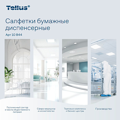 Салфетки Tellus Стандарт NS4, для диспенсера, 200 листов, 2 слоя, белый - 10