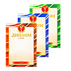 Диплом 1 степени, А4, 250 г/м2 - 2