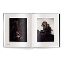 Книга на английском языке "Between Us. Animal Portraits" HB, Vincent Lagrange