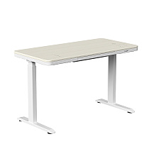 Стол с электроприводом двухмоторный AOKE HOME WOOD