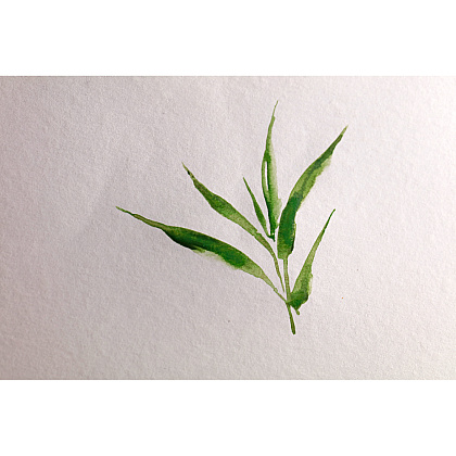 Блок-склейка "Bamboo", А5, 250г/м2, 20 листов - 4