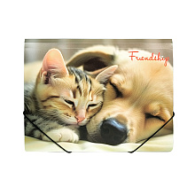 Папка на резинках "Friendship", пластик, 15 мм