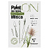 Блок-склейка "Paint`On" Misca, A5, 250г/м2, 15 листов