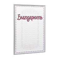 Благодарность С49, А4, 250 г/м2