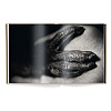 Книга на английском языке "Between Us. Animal Portraits" HB, Vincent Lagrange - 5