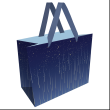 Пакет подарочный "Star rain"