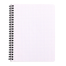 Блокнот "Rhodia", А5+, 80 листов, клетка, оранжевый
