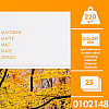 Фотобумага матовая для струйной фотопечати "Lomond", А4, 25 листов, 220 г/м2 - 2