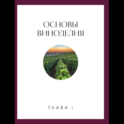 Книга "Вино к еде. Искусство идеального сочетания", Елена Горбачева - 21