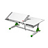 Стол Comf-Pro King Desk, 1400х765х(530-770) мм, белый, зеленый