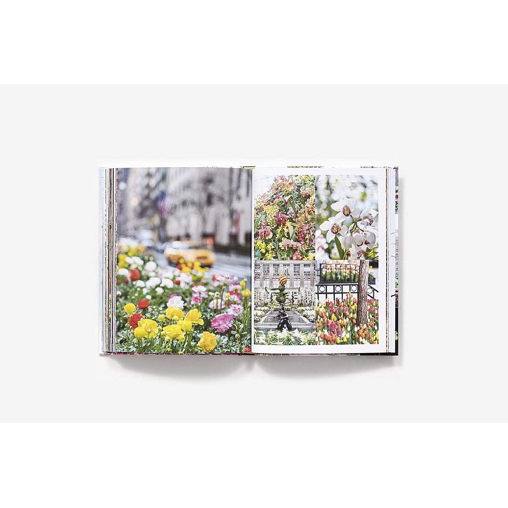 Книга на английском языке "New York in Bloom", Lane G. - 2