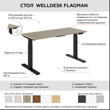 Стол подъемный WellDesk Flagman (регулируемый по высоте каркас арт. 9022026 и столешница арт. 9190094)