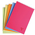 Блокнот "Linicolor" 5/5, A4, 80 листов, клетка, ассорти