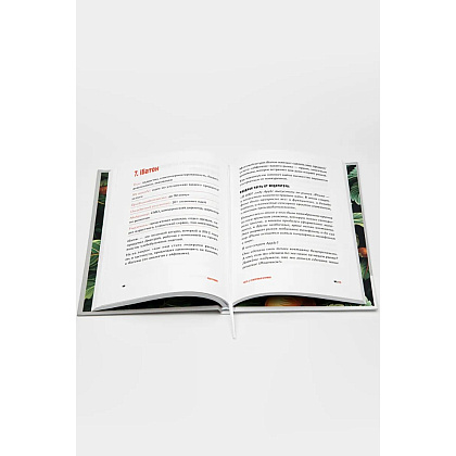 Книга "Поштурмим?", Игорь Манн, Дмитрий Турусин - 4