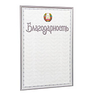 Благодарность С48, А4, 250 г/м2
