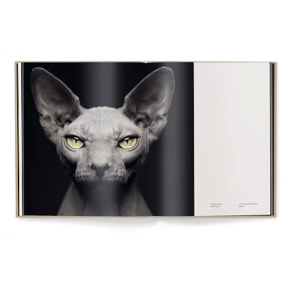 Книга на английском языке "Between Us. Animal Portraits" HB, Vincent Lagrange - 4