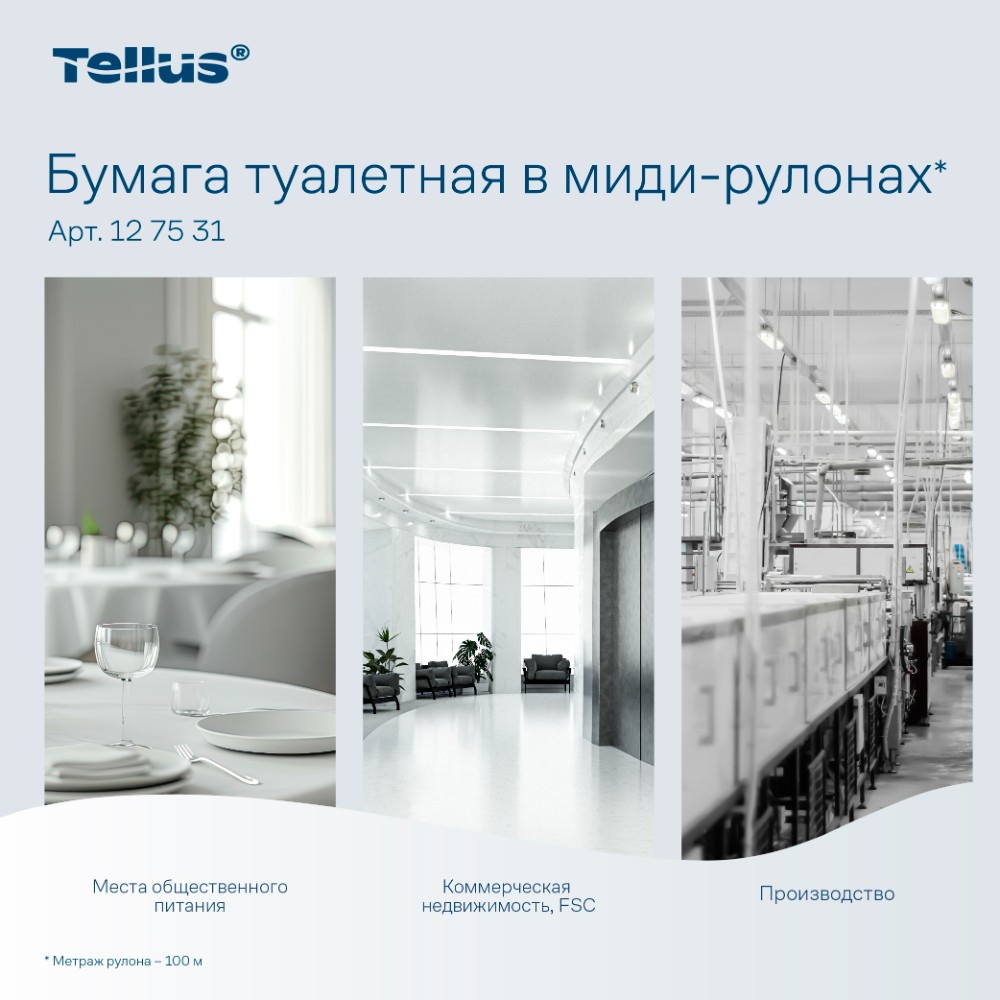 Бумага туалетная Tellus Комфорт TP6, в миди-рулонах, 100 м, 2 слоя - 11