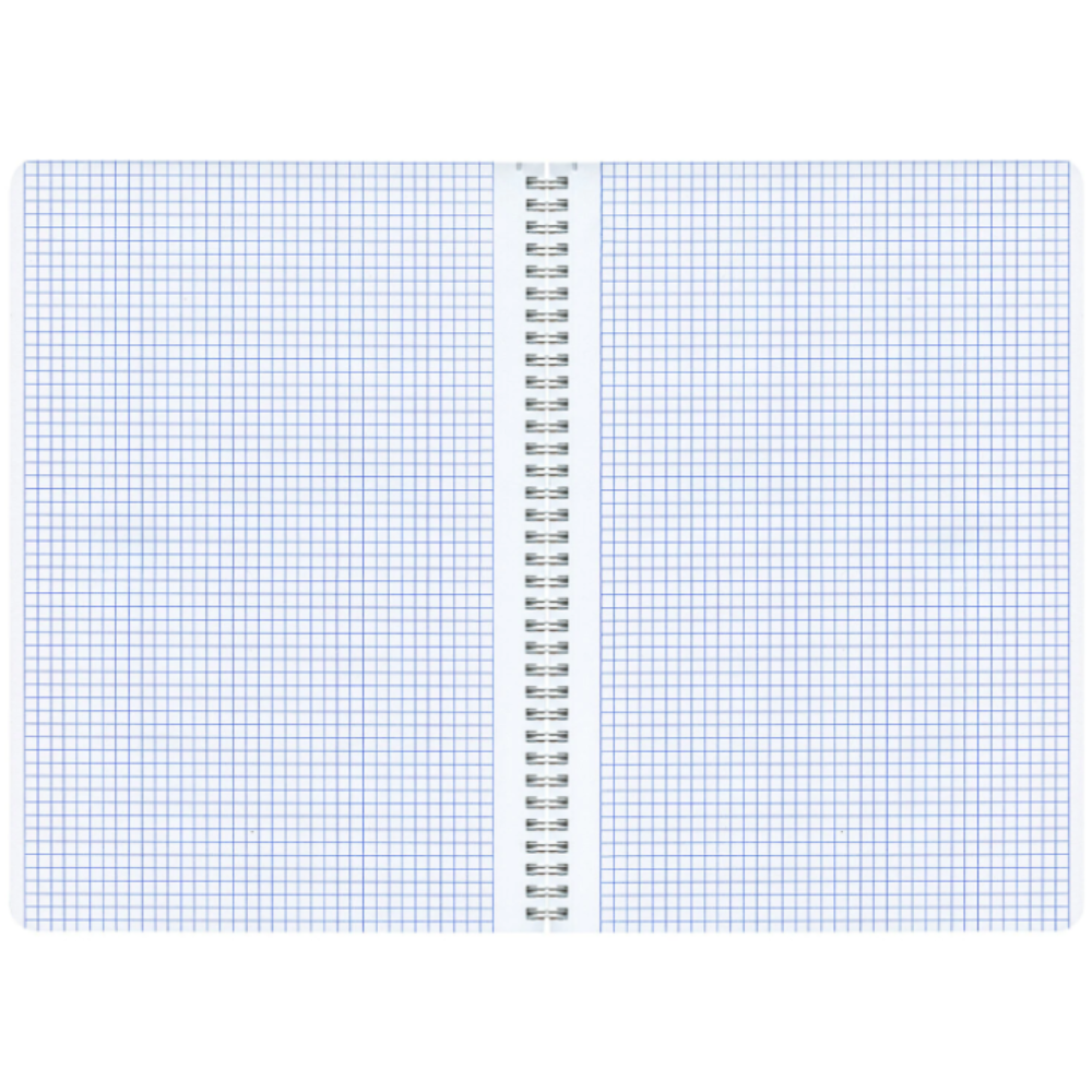Тетрадь "Гранаты", А4, 96 листов, в клетку, ассорти - 5