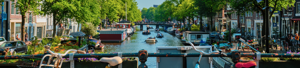 960_217_4 (1).png 960_217_4 (1).png
