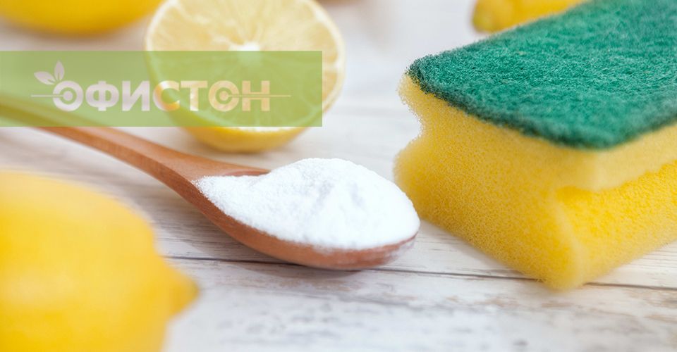 cleaning_01_.jpg cleaning_01_.jpg
